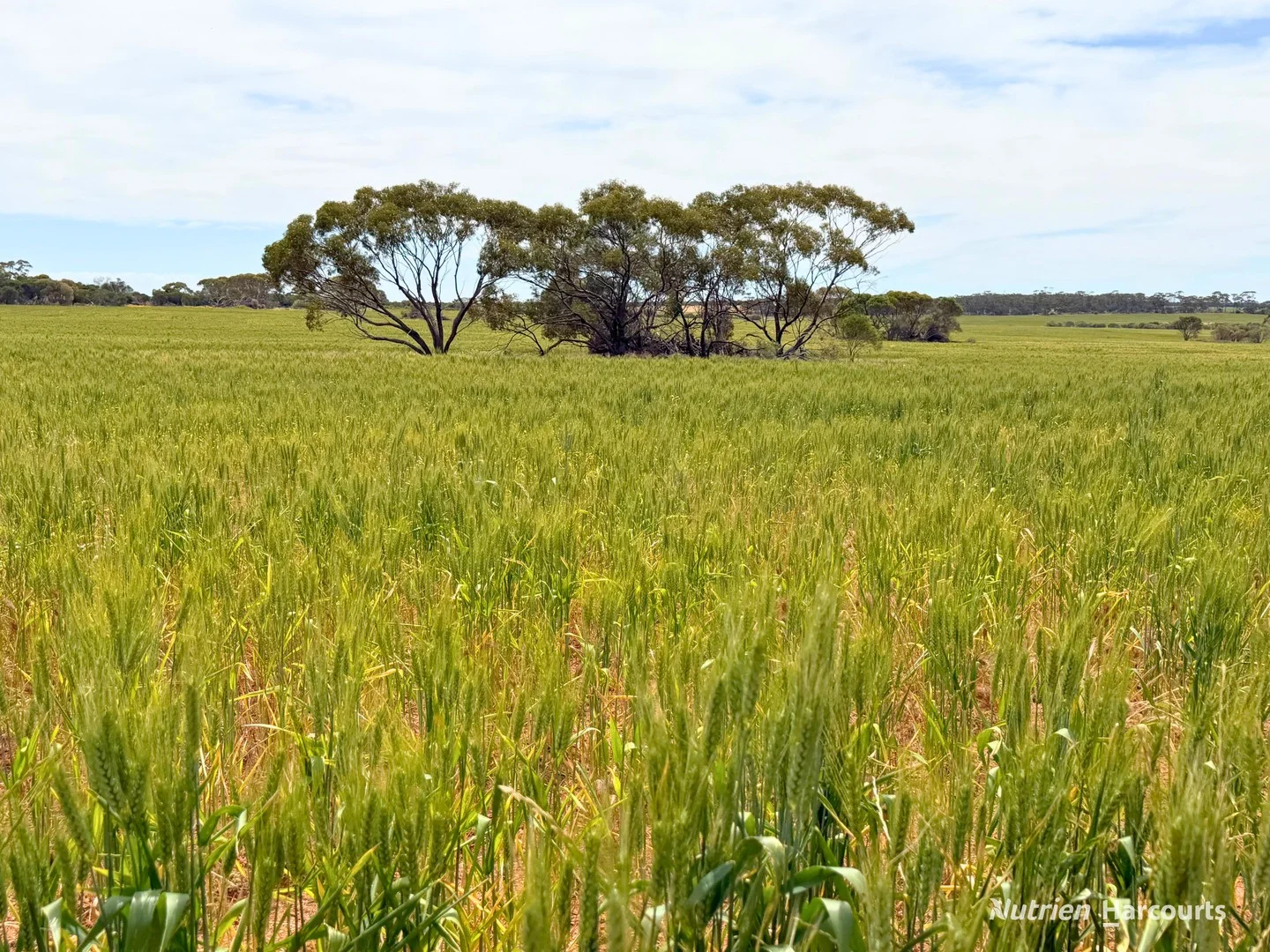 EOI closing 3pm Wed 16th Dec 2026 (1/3)